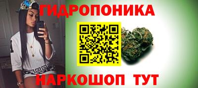 прущие грибы Конаково
