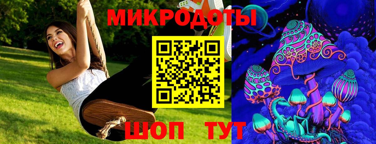 Галлюциногенные грибы Psilocybine cubensis Тамбов