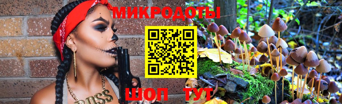Тамбов  Псилоцибиновые грибы мицелий  как найти закладки  Псилоцибиновые грибы Cubensis  Вход с VPN 