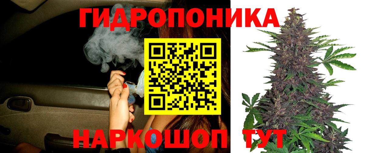 Шишки марихуана план Тамбов